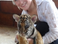 Jenna with baby tiger at Tiger Temple